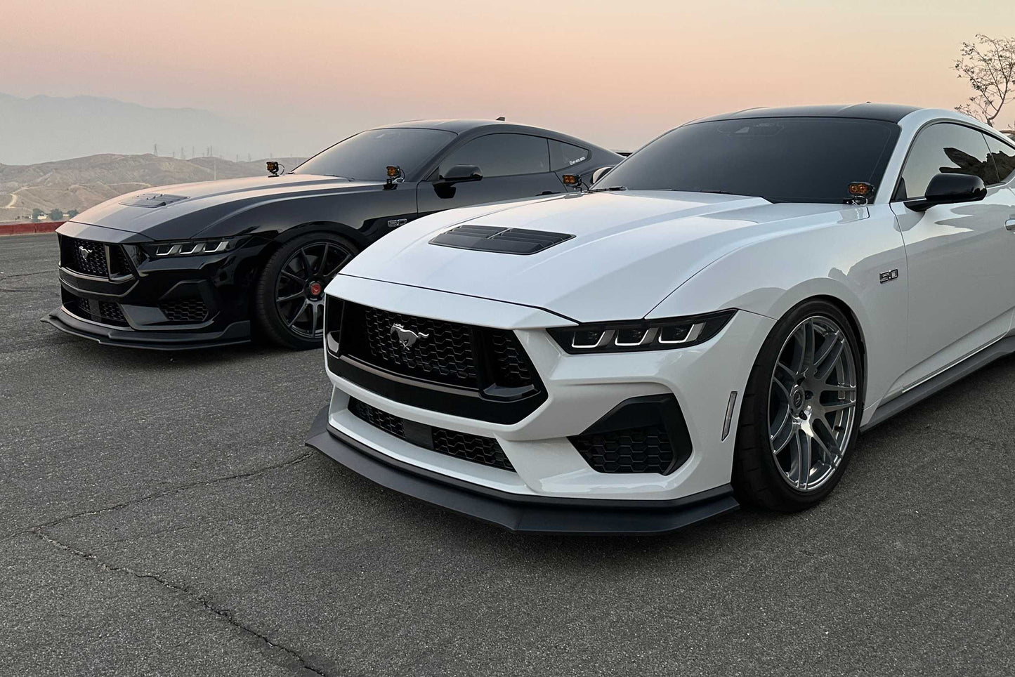 Morimoto 2Banger Ditch Light Kit: 24-26 Ford Mustang (HXB White Combo Beam) - Off Road - Veh. Spec (Image 5 of 6)