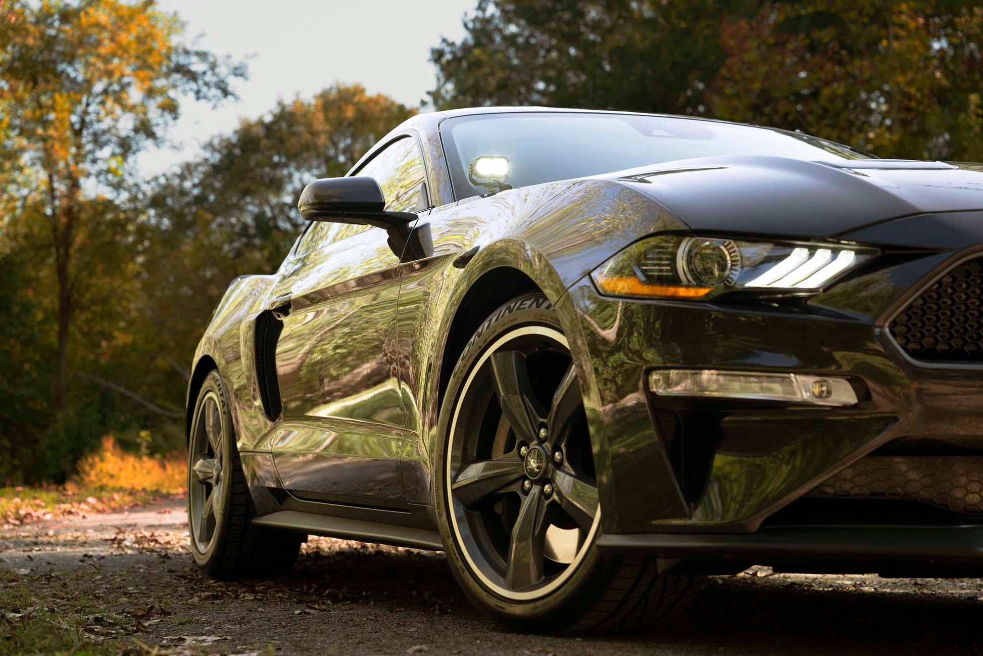 Morimoto 2Banger Ditch Light Kit: 18-23 Ford Mustang (NCS White Flood Beam) - Off Road - Veh. Spec (Image 6 of 6)