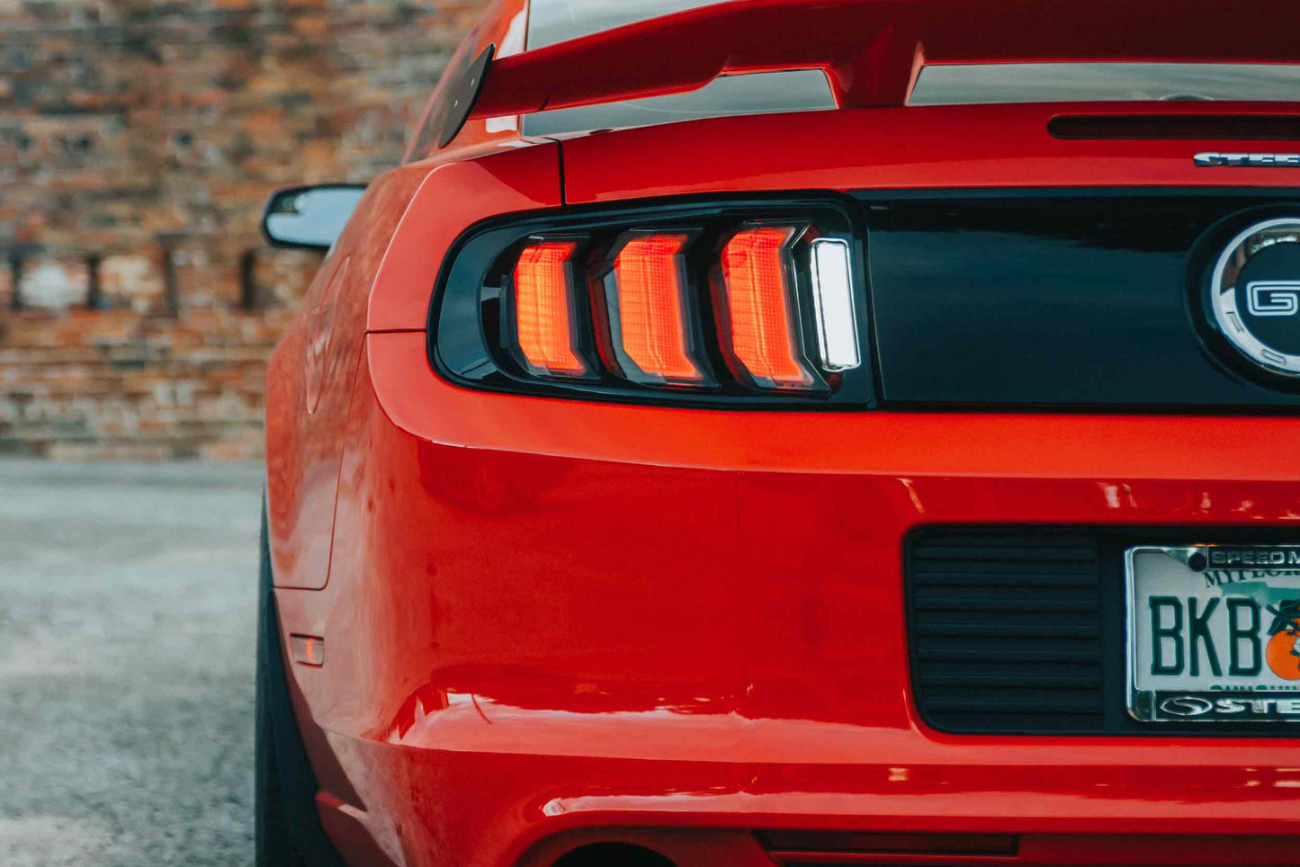10-12 Mustang Heads and Smoked Tails - Kits (Image 3 of 3)