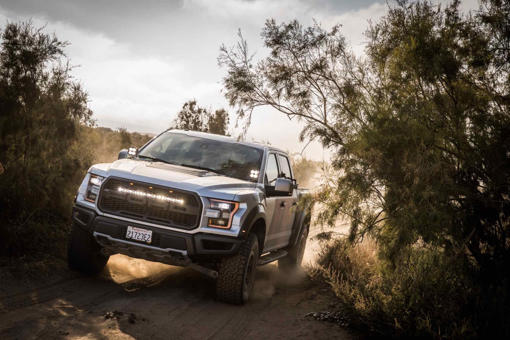 BD Grille-Mount LED System: Ford Raptor (17-20) (30in / S8 Bar) - Off Road - Veh. Spec (Image 4 of 6)
