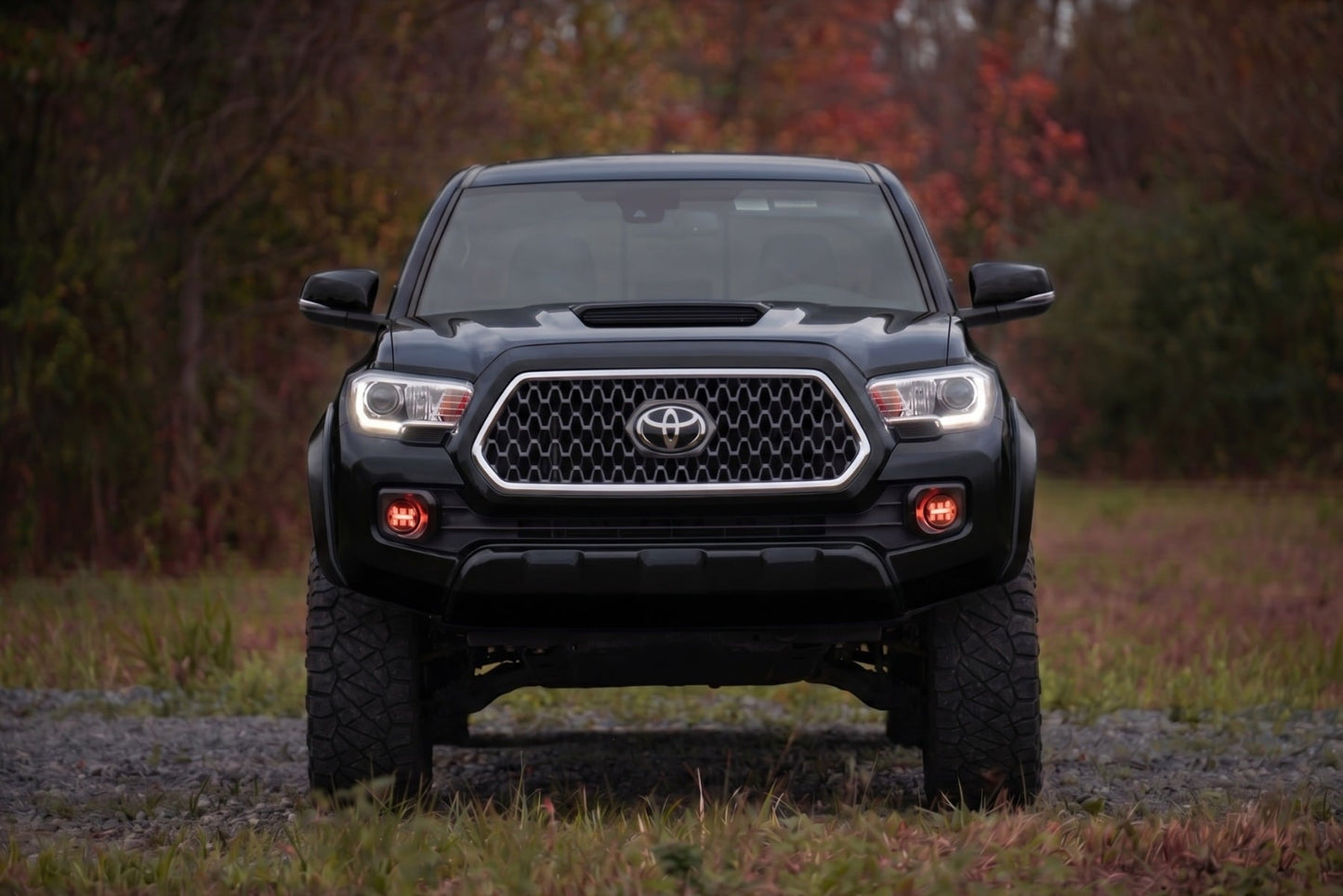 Sport Fender Flares | 218 Midnight Black Metallic | Toyota Tacoma (16-23) - Fender Flares (Image 5 of 6)