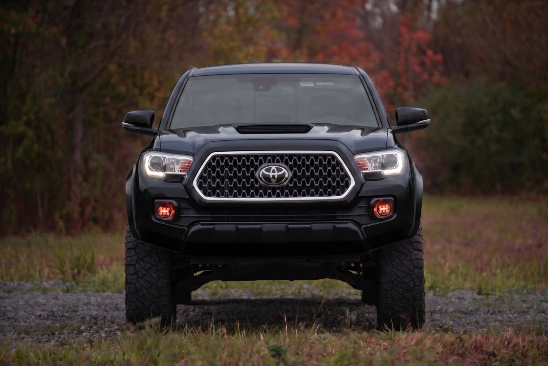 Sport Fender Flares | 218 Midnight Black Metallic | Toyota Tacoma (16-23) - Fender Flares (Image 5 of 6)