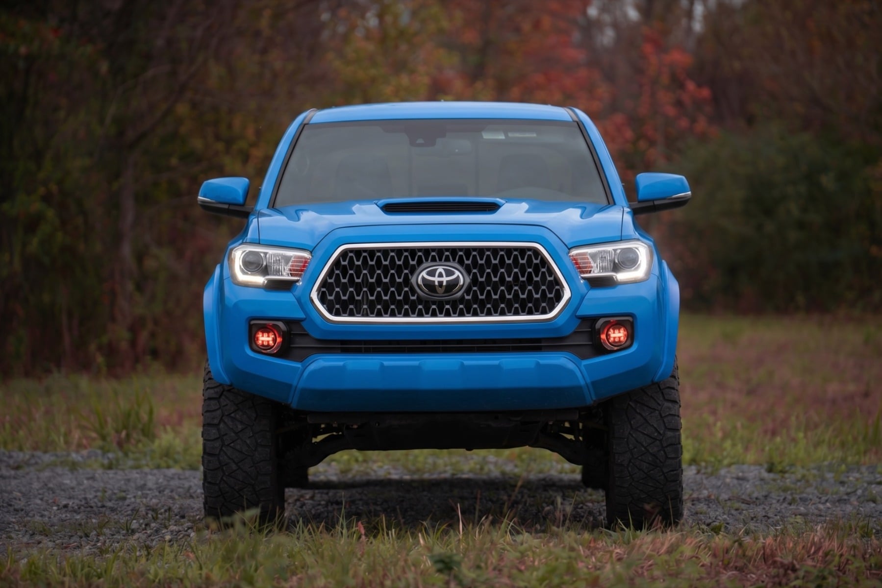 Sport Fender Flares | 8T6 Voodoo Blue | Toyota Tacoma 2WD/4WD (2016-2023) - Fender Flares (Image 5 of 6)